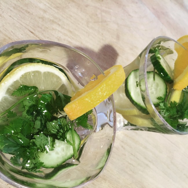 Infused Waters - Recipes and Tools